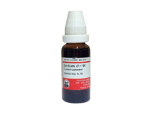 Picture of Ledum Q=1x 20ml Mt